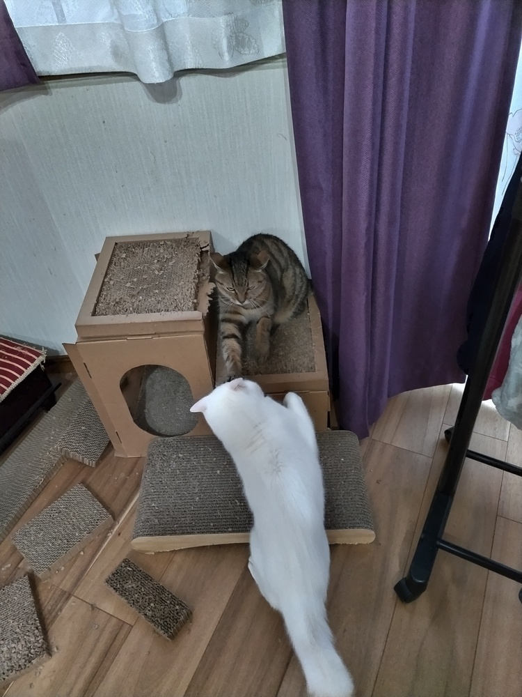 サバブログ「ちろ＆あい」